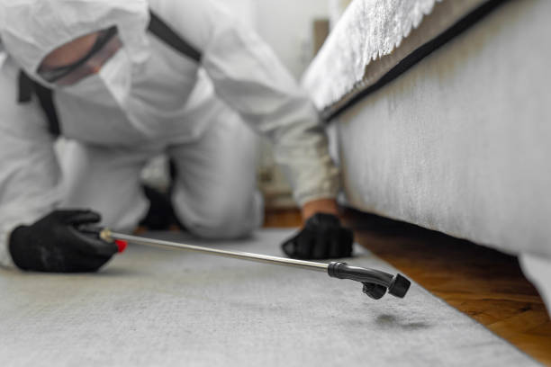 Professional Cockroach Control technician working in Glenwood, IL