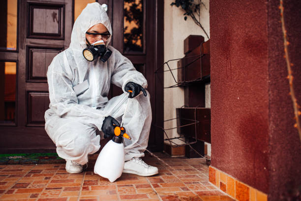 Reliable Cockroach Control contractor in Glenwood, IL by Nex Pest Control